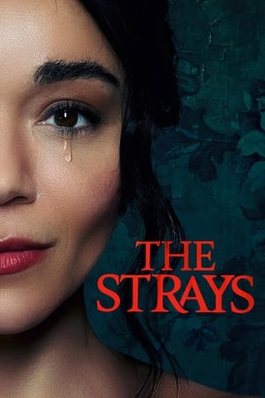 The Strays 2023 Hindi Dual Audio HDRip 720p – 480p